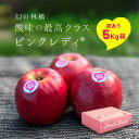 発送中!【15%オフクーポン配布中22日まで】「ピンクレディ5キロ箱訳あり品」 農林水産大臣賞 エコファーマー 長野県 りんご リンゴ 林檎 Apple 産地直送 贈答 家庭用 果物 酸っぱい ピンクレディ PinkLady pinklady