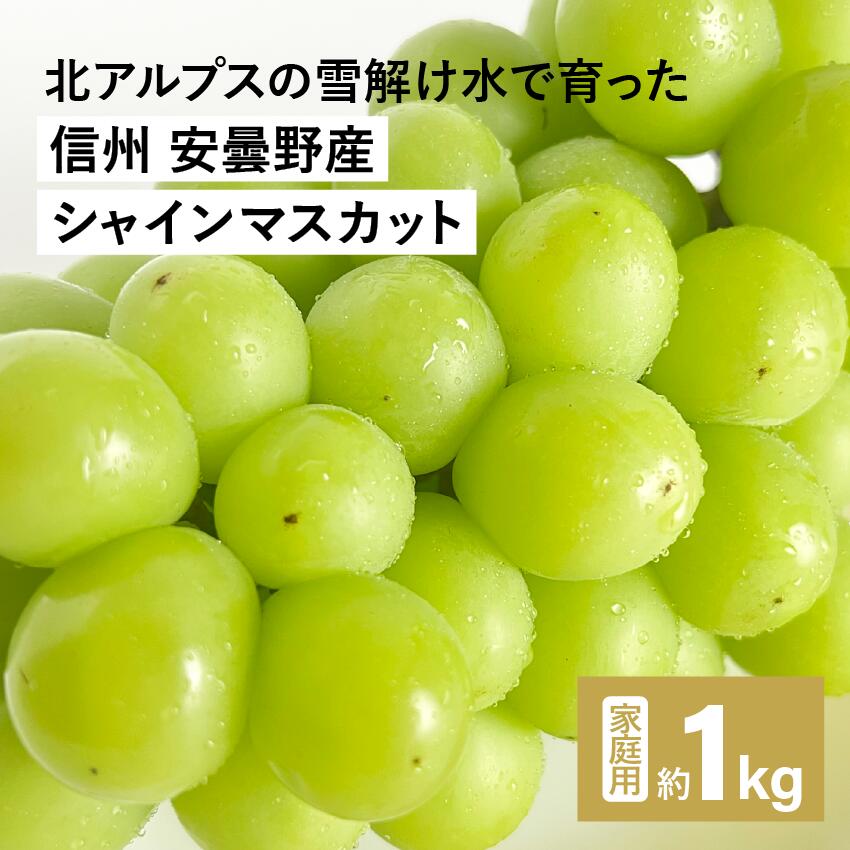 楽天市場】農家直送 シャインマスカットの通販