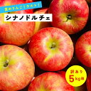 【15%オフクーポン9月1日10時から10日まで】9月しかありません!! 食べ応え抜群 甘味も酸味も両方楽しみたい!「シナノドルチェ5キロ箱訳あり品」 農林水産大臣賞 りんご 長野県産