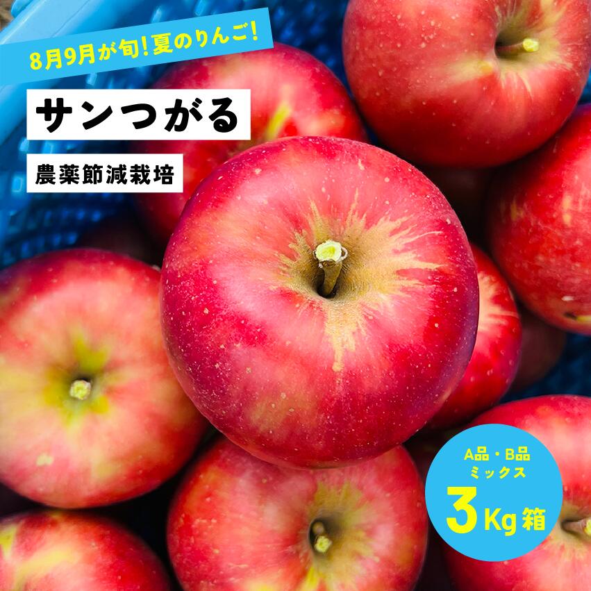 りんご 定番夏りんご サンつがる 3キロ箱 A品B品ミックス 7から15玉 サビ小傷あり「つがる3キロ箱A品B品」