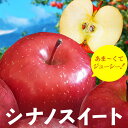 りんご シナノスイート 信州産 5kg 10月上旬~発送 リンゴ 林檎 長野 ギフト 贈答 2025年度予約