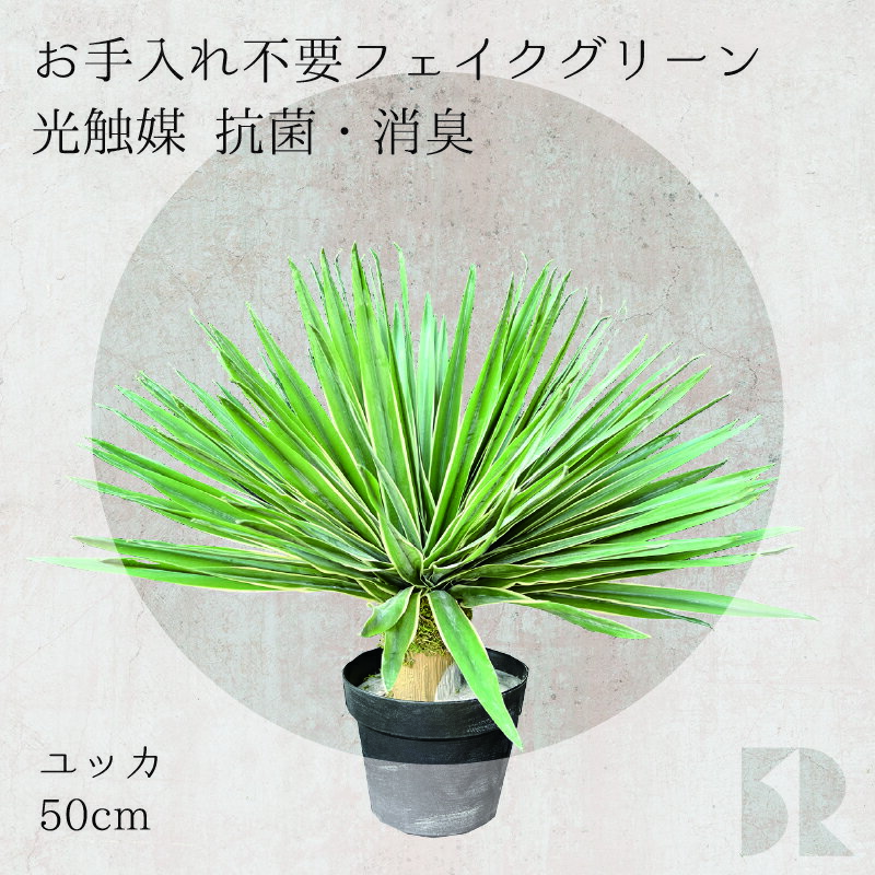 ユッカ 人工観葉植物 50cm 光触媒 抗菌 防臭 観葉植物 造花 フェイクグリーン インテリアグリーン 水やり不要 お手入れ簡単 枯れない 虫がわかない 植物 おしゃれ リビング 玄関 プレゼント サロン カフェ 新築 ギフト アスクイン ASK IN ルクラ