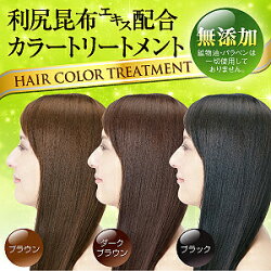 ふんわり仕上がるカラートリートメント200g(ブラウン・ダークブラウン・ブラック)白髪染めトリートメント利尻昆布エキス配合【RCP】