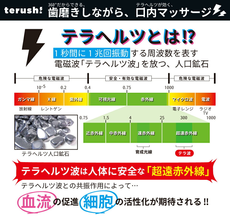 �ں߸˽�ʬ�ۥƥ�إ���۹� ���֥饷 terush! TOOTHBRUSH MEDIUM�ʥƥ�å��塪���֥饷���ߥǥ������ �ȥ塼���֥饷 �ǥ󥿥륱�� �ǥ󥿥�֥饷 360��֥饷 Tooth Brush