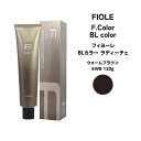 フィヨーレ Fカラー BLカラー ラディーチェ ウォームブラウン 6WB 120g