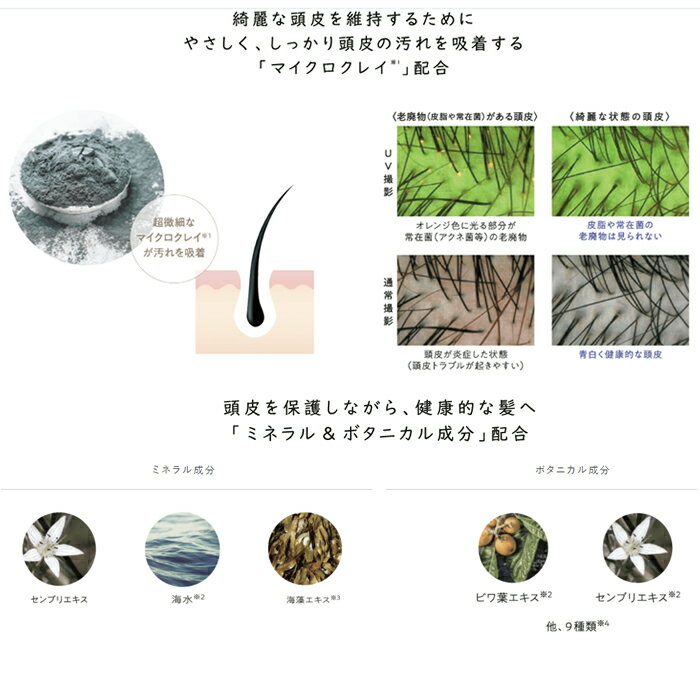 【3,980円以上送料無料】詰め替え用シャンプー&トリートメント　エイジキュア　クレイシャンプー ＜550ml＞＆クレイヘアパック＜550g＞ AGE CURE　三口産業株式会社 フォードヘア化粧品