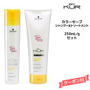 【3,980円以上送料無料】シュワルツコフ BCクア カラーセーブ シャンプー<250mL>&トリートメント <250g>セット