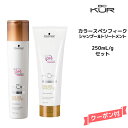 【3,980円以上送料無料】シュワルツコフ BC KUR カラースペシフィーク シャンプー<250mL>&トリートメント<250g> セットSchwarzkopf BCクア