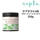 ナプラ ケアテクトHB カラートリートメントV 250g napla CARETECT HB