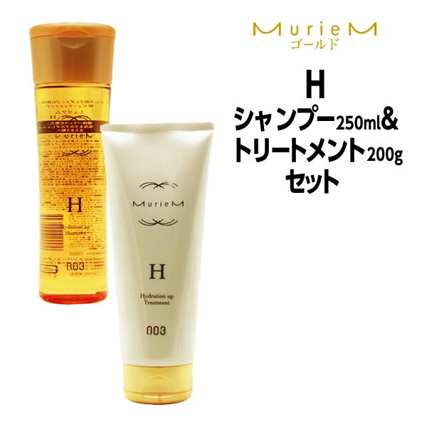 【3,980円以上送料無料】ナンバースリー ミュリアム ゴールド シャンプーH 250ml ＆ トリートメントH 200g ボトルセット NUMBER THREE MurieM 003