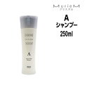 【3,980円以上送料無料】ナンバースリー ミュリアム クリスタル 薬用 スカルプシャンプーA 250ml