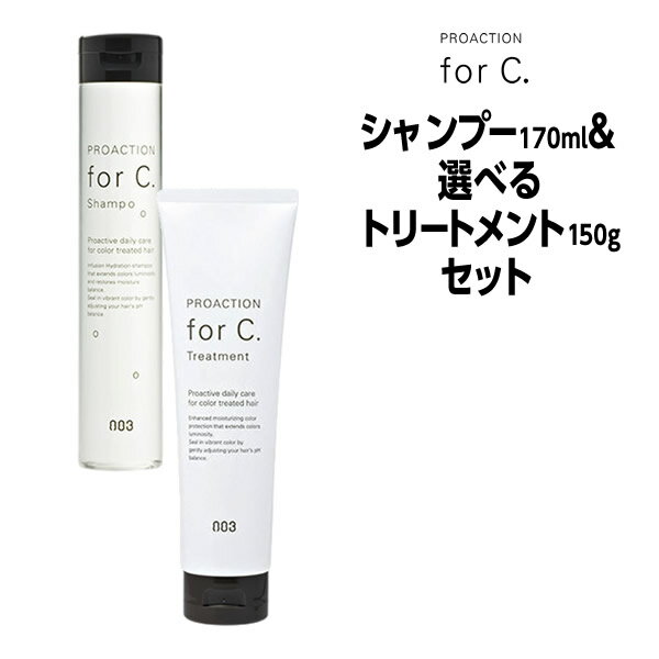 【3,980円以上送料無料】ナンバースリー forc プロアクション フォーシー シャンプー 170ml ＆デイリー トリートメント 150g セット NUMBER THREE no3