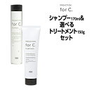【3,980円以上送料無料】ナンバースリー forc プロアクション フォーシー シャンプー 170ml &デイリー トリートメント 150g セット NUMBER THREE no3