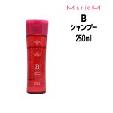 【3,980円以上送料無料】ナンバースリー ミュリアム シャンプー B 250ml ボトル NUMBER THREE MurieM 003