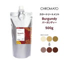 送料無料 CHROMATO カラートリートメントBurgundy バーガンディー 500g(4)