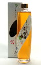 【大石 梅酒】 球磨焼酎仕込み 500ml