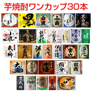 芋焼酎ワンカップ×30本 鹿児島・宮崎産