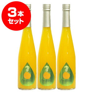 熊本甘夏シロップ×3本　果汁80％　500ml＜九州ご当地フルーツシロップ＞＜他商品と混載不可・代引き不可＞