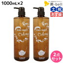 【4/20限定ポイント2倍】サニープレイス ヘアオペ ナノサプリ クレンジングシャンプー ウーロン 1000mL ×2個 セット / 【送料無料】 美容室 サロン専売品 美容院 ヘアケア サニープレイス