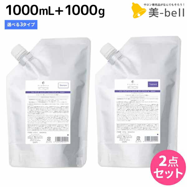 デミ フローディア シャンプー 1000mL + トリートメント 1000g 《Sライト・Sモイスト