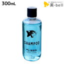 DOORS ドアーズ スペリオール シャンプー 300mL / 美容室 サロン専売品 美容院 ヘアケア ノンシリコン 頭皮ケア メンズヘアケア