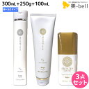 【ポイント3倍!25日0時から】ホーユー プロステップ ヘアケア シャンプー 300mL + トリートメント 250g + アウトバストリートメント 100mL...