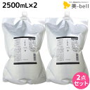 【5/25限定ポイント3倍】ルベル イオ セラム クレンジング(シャンプー) 2500mL × 2個セット / 【送料無料】 詰め替え 美容室 サロン専売品 美容院 ヘアケア ルベル セット おすすめ タカラベルモント lebel くせ毛