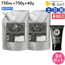 モルトベーネ ディープレイヤー シャンプー 750mL + トリートメント 750g 詰め替え + H 40g 《ExG・ExS》 選べるセット / 【送料無料】 DeepLayer ビューティーエクスペリエンス 美容室 サロン専売品 美容院 ヘアケア ダメー