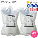 【ポイント3倍!9日20時から】ルベル イオ セラム クレンジング(シャンプー) 2500mL × 2個セット / 【送料無料】 詰め替え 美容室 サロン専売品 美容院 ヘアケア ルベル セット おすすめ タカラベルモント lebel くせ毛