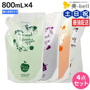 【ポイント3倍!19日20時から】サニープレイス ヘアオペ ナノサプリ クレンジングシャンプー エッセンス トリートメント 800mL 選べる4個セット / 【送料無料】 美容室 サロン専売品 美容院 ヘアケア サニープレイス おすすめ
