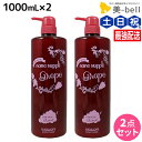 【ポイント3倍!15日0時から】サニープレイス ヘアオペ ナノサプリ トリートメント グレープ 1000mL ×2個 セット / 【送料無料】 美容室 サロン専売品 美容院 ヘアケア サニープレイス