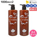 【ポイント3倍!15日0時から】サニープレイス ヘアオペ ナノサプリ トリートメント ウーロン 1000mL ×2個 セット / 【送料無料】 美容室 サロン専売品 美容院 ヘアケア サニープレイス