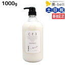 【4/20限定ポイント2倍】フォード CE3 トリートメント 1000g / ミアンビューティー 弱酸性 MIAN BEAUTY 美容室 サロン専売品 美容院 ヘアケア