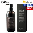 【5/5限定ポイント2倍】サンコール R-21 R21 エクストラ シャンプー 500mL ボトル / 【送料無料】 美容室 サロン専売品 美容院 ヘアケア 美容室専売 ヘアサロン おすすめ