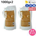フィヨーレ Fプロテクト ベーシックタイプ ヘアマスク 1000g 詰め替えタイプ × 2個 セット / 【送料無料】 詰め替え 美容室 サロン専売品 美容院 ヘアケア fiore フィヨーレ おすすめ品