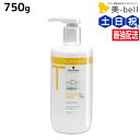【ポイント3倍!15日0時から】シュワルツコフ BCクア カラーセーブ トリートメント a 750g / 【送料無料】 美容室 サロン専売品 美容院 ヘアケア schwarzkopf シュワルツコフ おすすめ品