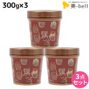 モルトベーネ ロレッタ ハードゼリー 300g ×3個 セット / 【送料無料】スタイリング剤 美容室 サロン専売品 美容院 ヘアケア おすすめ品 moltobene loretta ヘアジェル スタイリングジェル ハードジェル ビューティーエクス