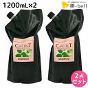 【4/20限定ポイント2倍】ナプラ ケアテクト HB カラーシャンプー V ハリ・コシ 1200mL × 2個セット / 【送料無料】 詰め替え 業務用 1.2L 1.2kg 美容室 サロン専売品 美容院 ヘアケア napla ナプラ セット オススメ品