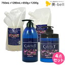 ナプラ ケアテクト HB スキャルプ シャンプー 750mL + 1200mL + トリートメント 650g + 1200g セット / 【送料無料】 詰め替え...