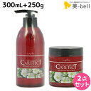 【6/3限定ポイント3-10倍】ナプラ ケアテクト HB リペア シャンプー 300mL + トリートメント 250g セット / 【送料無料】 美容室 サロン...