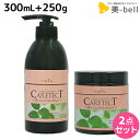 ナプラ ケアテクト HB カラーシャンプー V ハリ・コシ 300mL + トリートメント 250g セット / 【送料無料】 美容室 サロン専売品 美容院 ヘ...