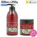 【ポイント3倍!25日0時から】ナプラ ケアテクト HB シャンプー 300mL + トリートメント 250g セット 《リペア・スキャルプ・S・V》/ 【送料...