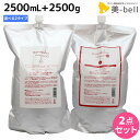 ★最大2,000円OFFクーポン配布中★ニューウェイジャパン ナノアミノ シャンプー 2500mL + トリートメント 2500g 《RM・RS》セット / 【送料無料】 詰め替え 業務用 2.5L 2.5Kg 美容室 サロン専売品 美容院 ヘアケア おすすめ