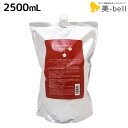 【ポイント3倍!9日20時から】ニューウェイジャパン ナノアミノ シャンプー DR 2500mL (ハリコシタイプ) / 【送料無料】 詰め替え 業務用 2.5L 美容室 サロン専売品 美容院 ヘアケア おすすめ