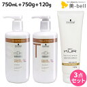 シュワルツコフ BCクア カラースペシフィーク シャンプー a 750mL + トリートメント a 750g + プロテクションスムース a 120g セット