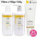 【4/20限定ポイント2倍】シュワルツコフ BCクア カラーセーブ シャンプー a 750mL + トリートメント a 750g + プロテクションスムース a 120g セット / 【送料無料】 美容室 サロン専売品 美容院 ヘアケア schwarzkopf シュワルツコフ おすすめ品