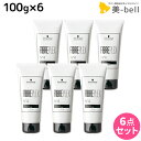【4/20限定ポイント2倍】シュワルツコフ ファイバープレックス No.4 ボンドセラム 100g ×6個 セット / 【送料無料】 ホームケア 洗い流さないトリートメント 美容室 サロン専売品 美容院 ヘアケア ダメージケア カラーケア ハイトーンカラー ブリーチ