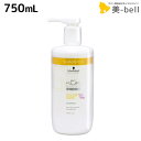 【ポイント3倍!14日20時から】シュワルツコフ BCクア カラーセーブ シャンプー a 750mL / 【送料無料】 美容室 サロン専売品 美容院 ヘアケア schwarzkopf シュワルツコフ おすすめ品
