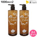 ★最大2,000円OFFクーポン配布中★サニープレイス ヘアオペ ナノサプリ クレンジングシャンプー ウーロン 1000mL ×2個 セット / 【送料無料】 美容室 サロン専売品 美容院 ヘアケア サニープレイス