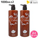 ★最大2,000円OFFクーポン配布中★サニープレイス ヘアオペ ナノサプリ トリートメント ウーロン 1000mL ×2個 セット /  美容室 サロン専売品 美容院 ヘアケア サニープレイス